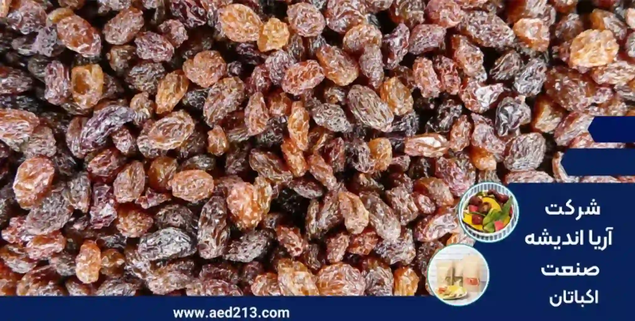 دستگاه خشک کن انگور,قیمت دستگاه انگور خشک کن,خشک کردن انگور,تهیه کشمش و مویز,خشک کردن انگور با دستگاه خشک کردن انگور و تهیه مویز