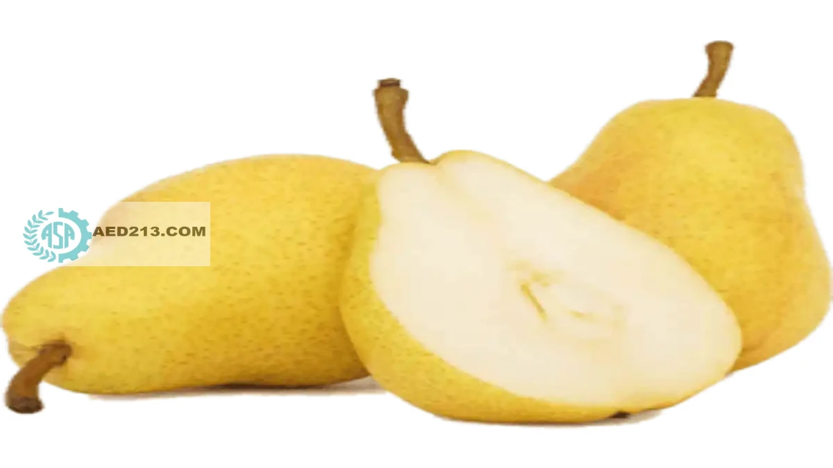 خشک کردن گلابی,گلابی خشک,دستگاه خشک کن گلابی,چیپس گلابی,طرز تهیه چیپس گلابی طرز تهیه چیپس گلابی با دستگاه خشک کن