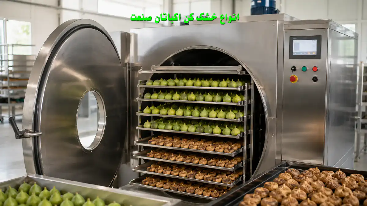 خشک کردن انجیر با دستگاه خشک‌کن صنعتی انجیر با سینی‌های پر از انجیر برای خشک‌کردن یکنواخت و بهداشتی