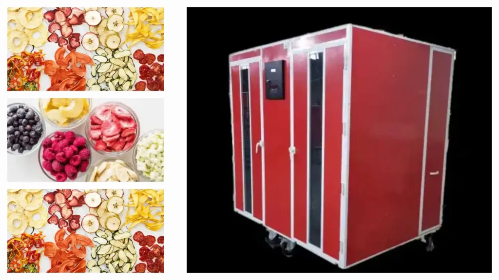 عکس و فیلم گالری عکس و فیلم