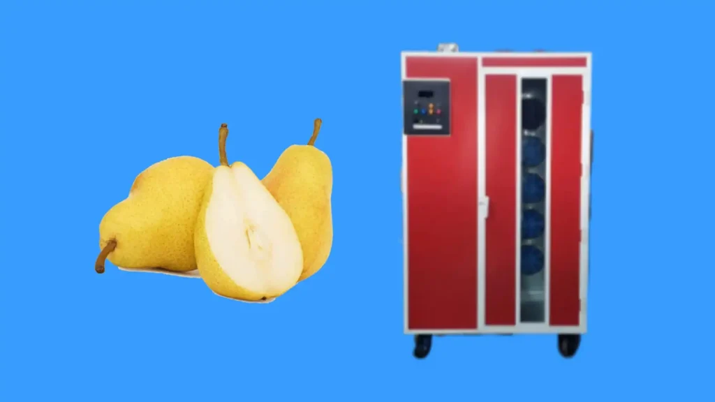 عکس و فیلم گالری عکس و فیلم