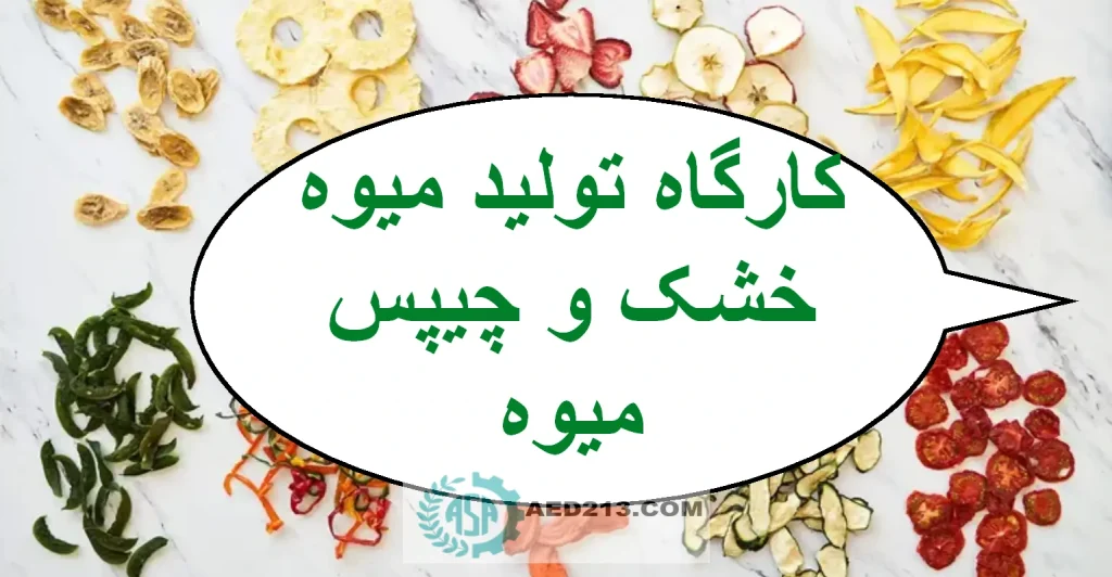 کارگاه میوه خشک کنی,مجوز کارگاه میوه خشک کنی,کارگاه چیپس میوه,شغل میوه خشک کنی کارگاه میوه خشک کنی. تولید چیپس میوه